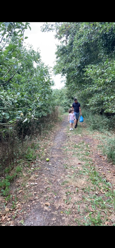 Fruit picking games and workshops