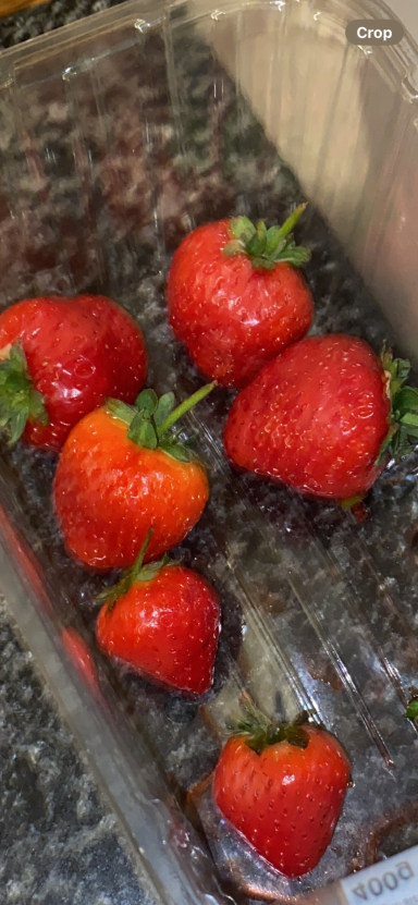 Introducing new foods