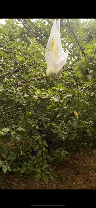 Team games and team work